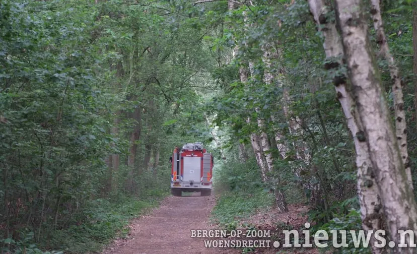 20100720 alg bosbrand 002