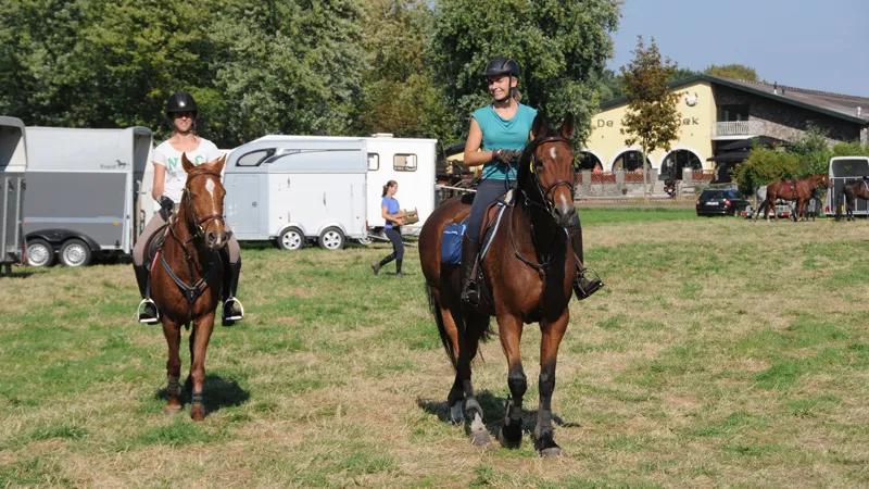 2017 804 woe paarden3daagse 000