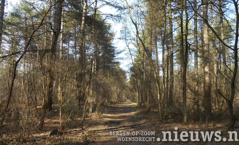 20170312 jkr bos 001b