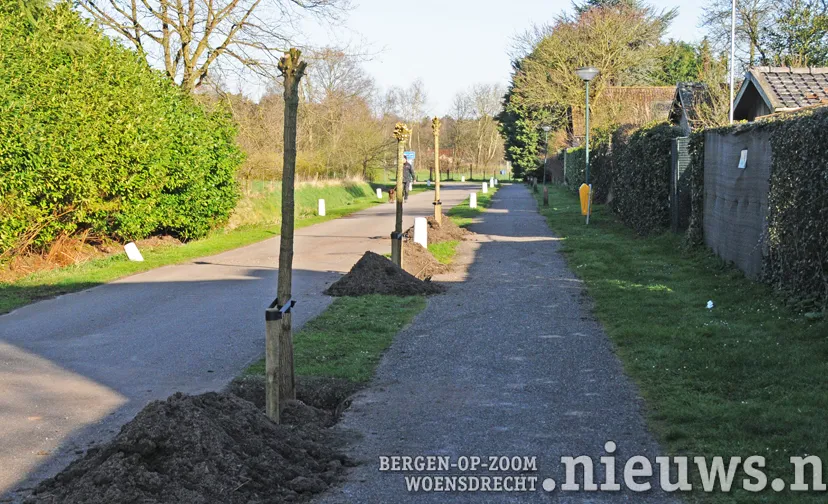 20170322 alg boomplantdag