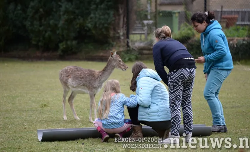 20170501 jkr put hertenkamp 001b