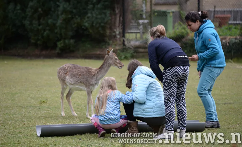 20170501 jkr put hertenkamp 001b