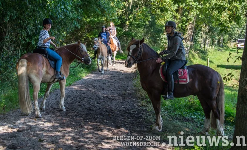 20170923 huij paarden3daagse