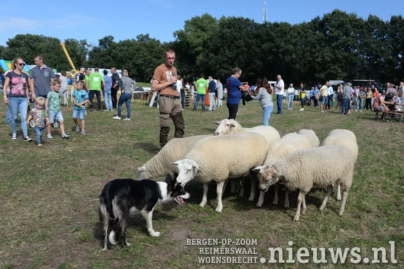 2018 909 hoo boerendag 007