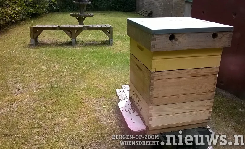 20180616 jkr alg bijenkast 001b