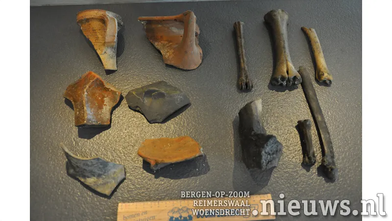 20180726 botten foto feo den heijer