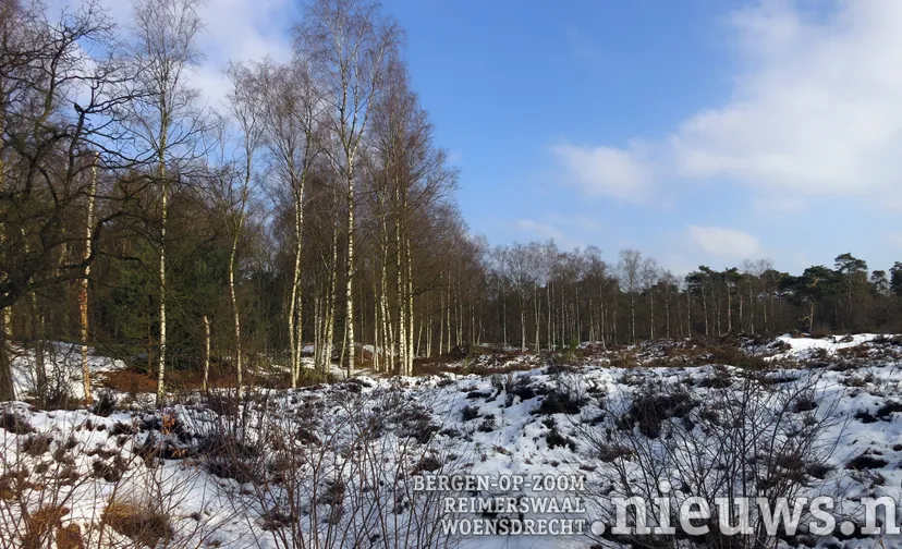 20190115 alg staartse duinen fred severin