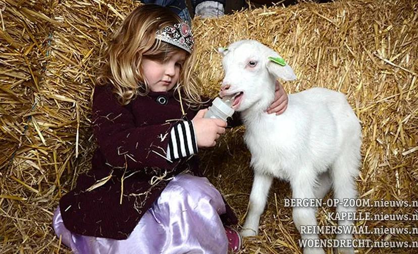 20190330 huij lammetjesdag