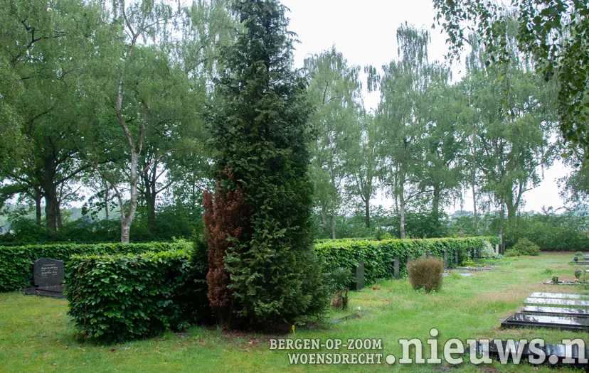 20190525 hoo begraafplaats 003