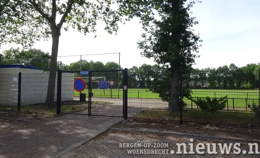 20200602 huij vivoo 001