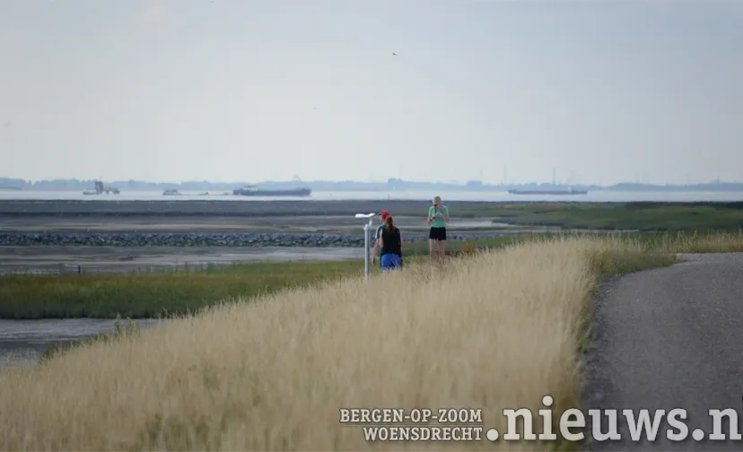 20200818 westerscheldedijk