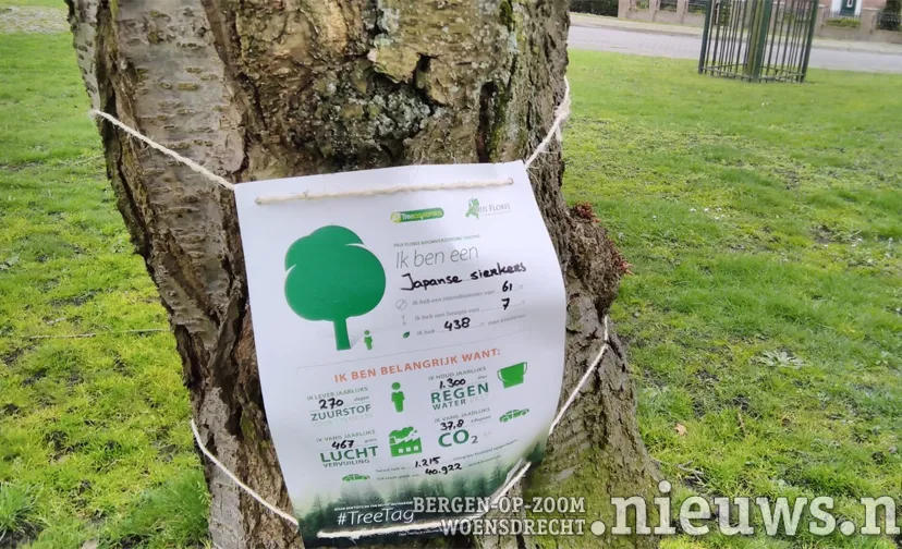 20210319 vin hoo treetag 001