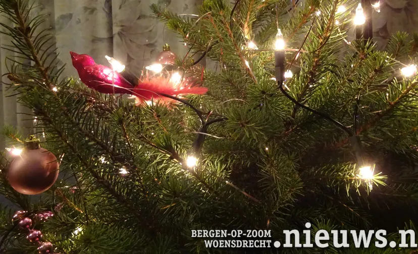 20211216 jkr alg kerstboom
