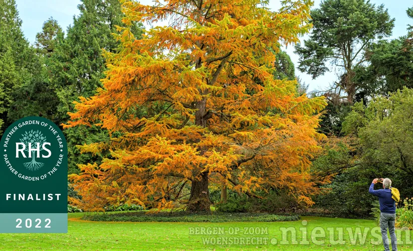 2022 copyright arboretum kalmthout rhs pgoty 01