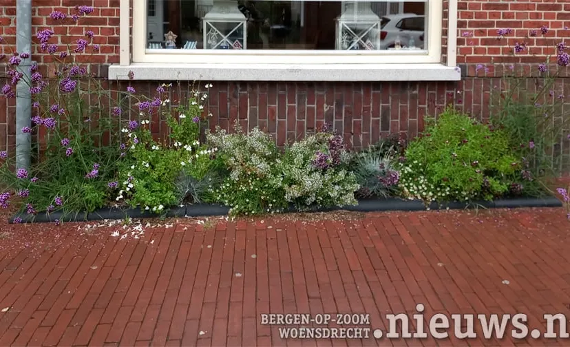 20220914 jkr alg geveltuin