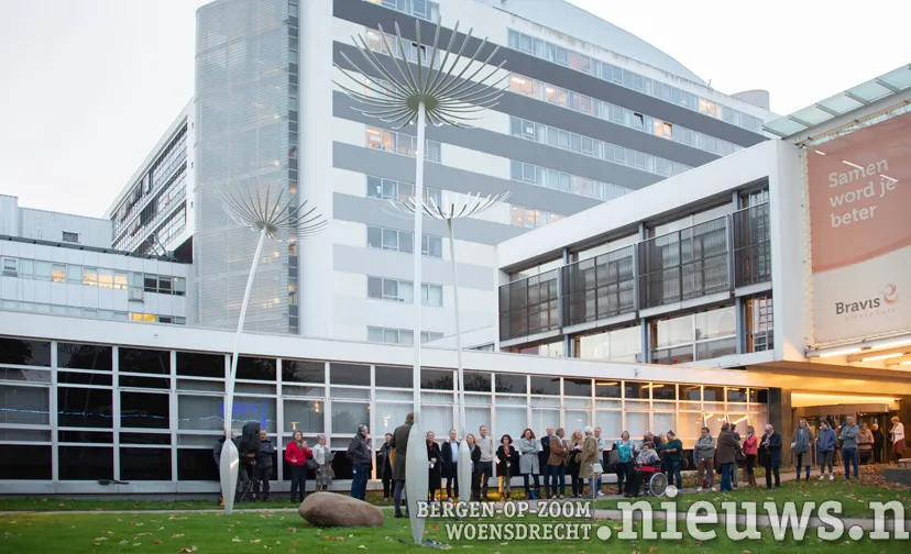 20221110 jkr boz bravis kunstwerk 001