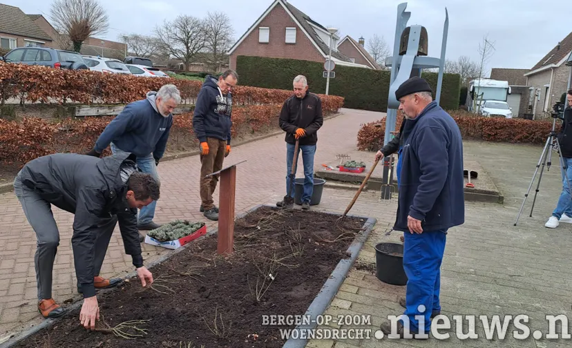 20230203 gem oss rozen 001