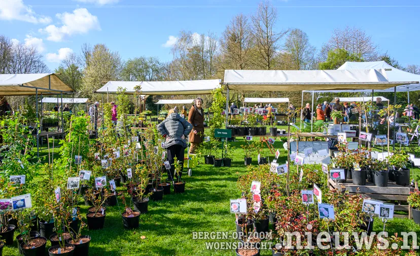 2024 plantendag voorjaar arboretum kalmthout 004