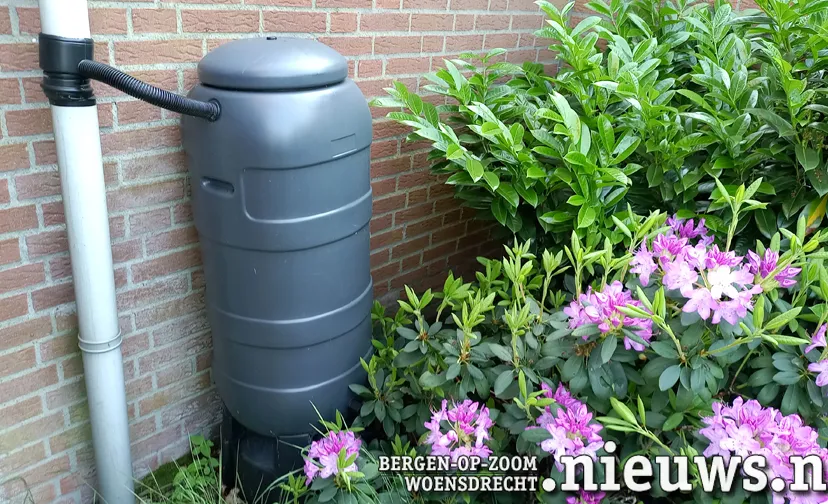 20240507 jkr hoo regenton