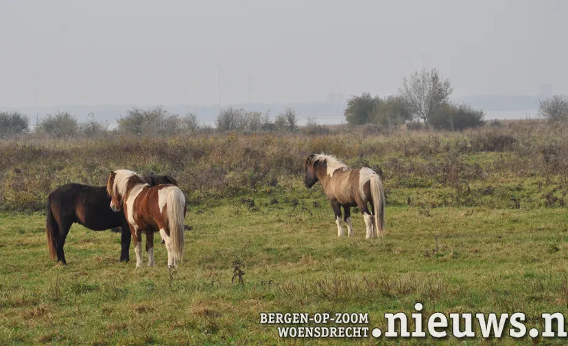 20240507 leo brab landsch 01