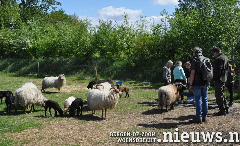 20240507 leo brab landsch 02