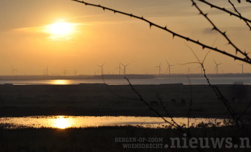 20240604 foto leo den heijer