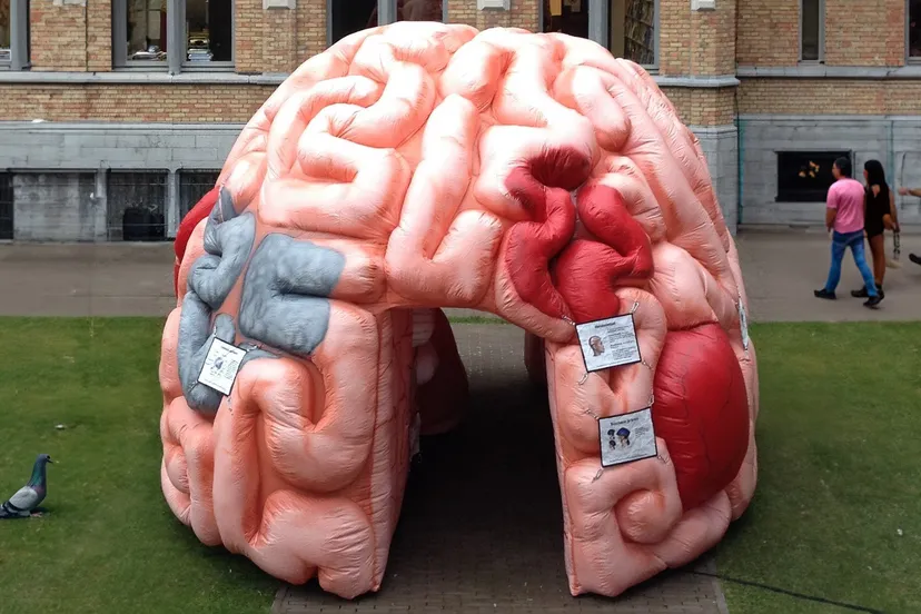 beeld megabrein in de bibliotheek in roosendaal breedbeeld