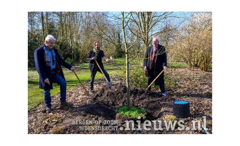 bijenboom