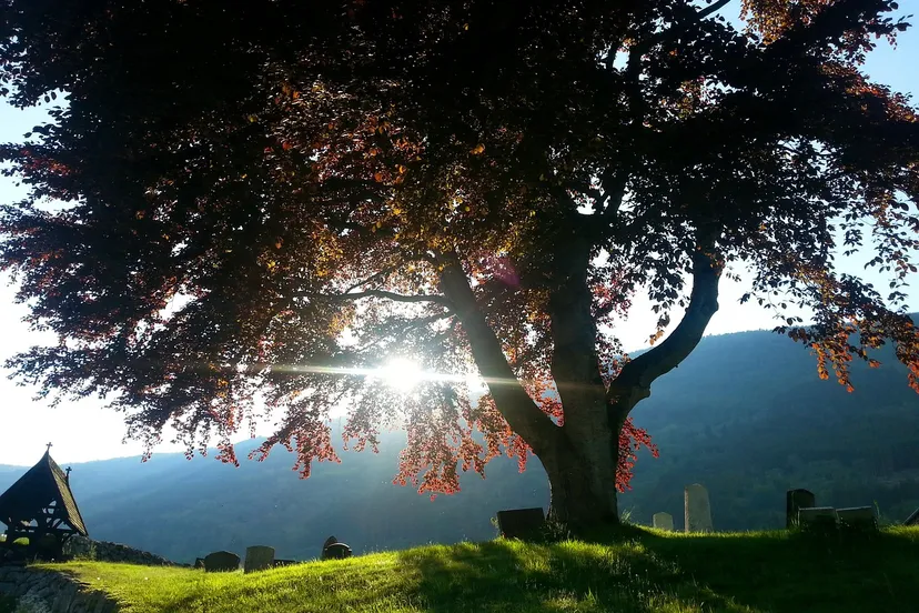 cemetery 1472149 1280