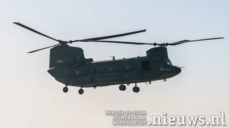 chinook