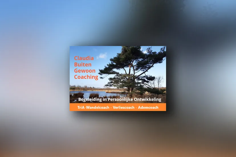 cluadiabuitengewooncoaching