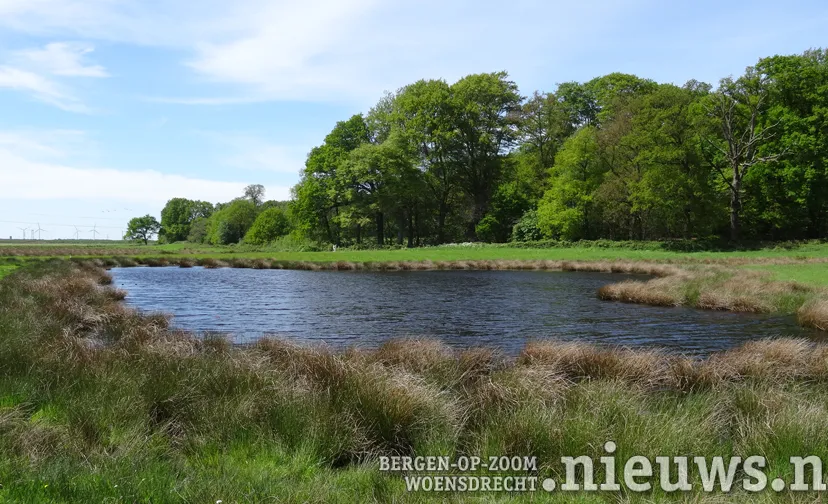 foto ad van loenhout 1