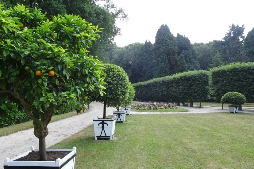 foto ad van loenhout mattemburgh middel