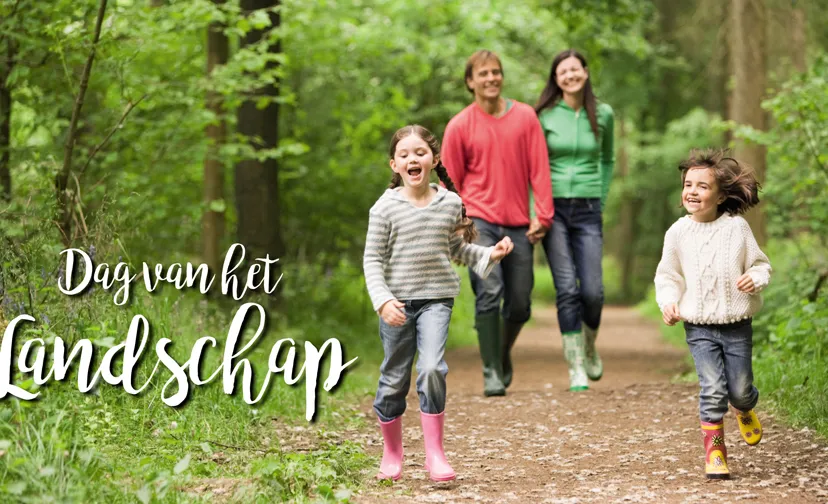 foto dag van het landschap