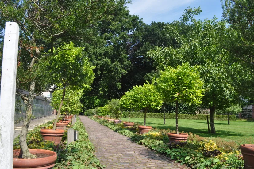 foto leo den heijer 2