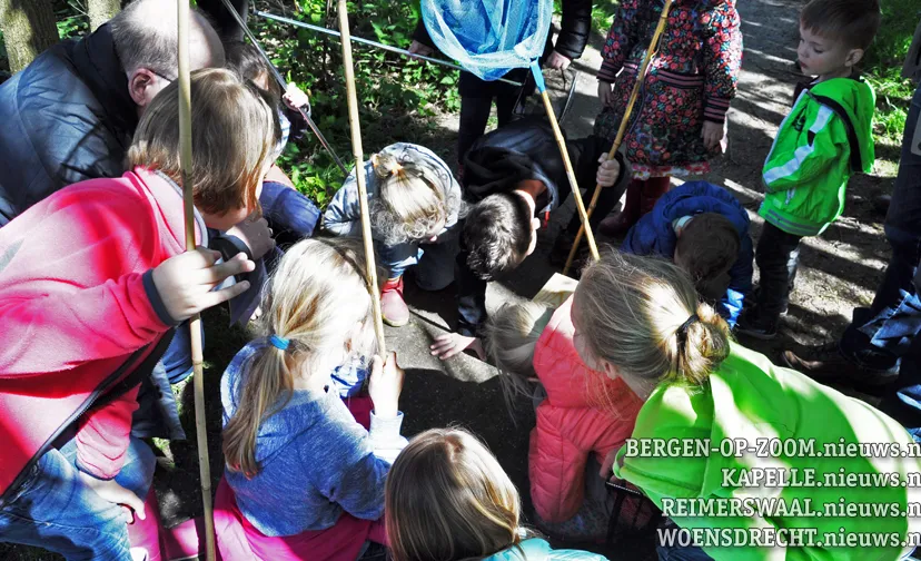 foto leo den heijer 31