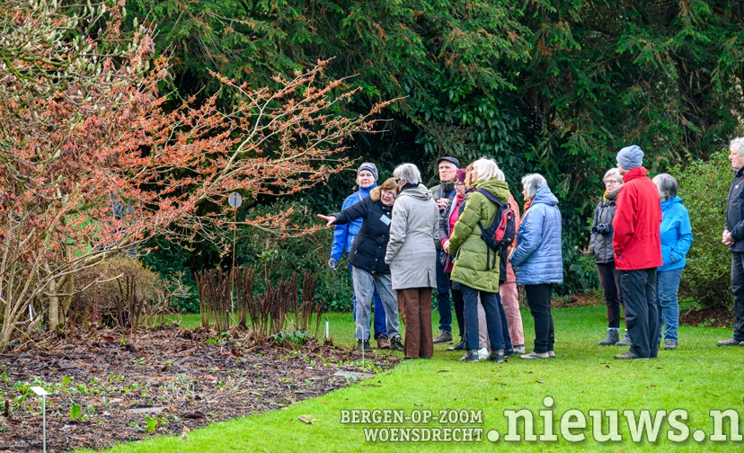 hamamelisfeesten gids arboretumkalmthout