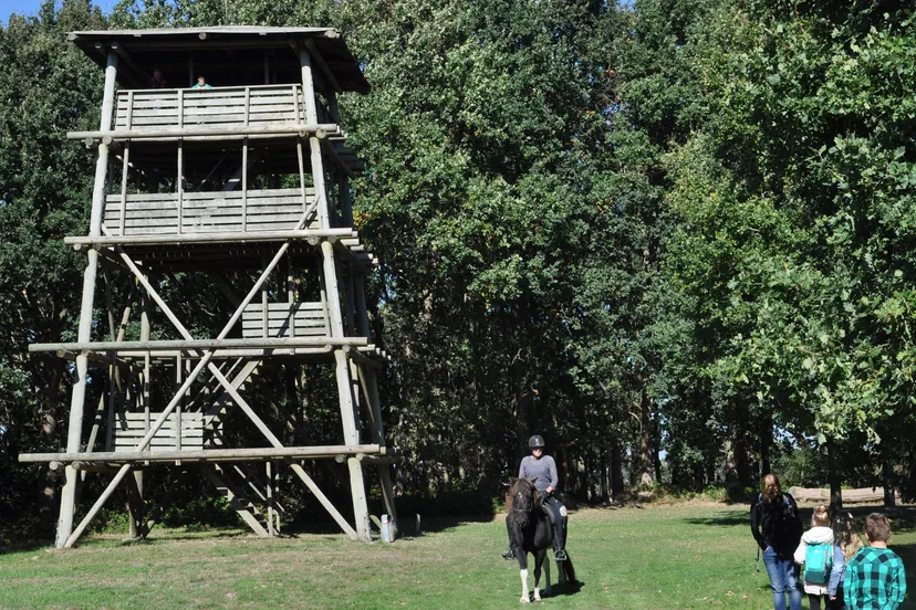 ijslander kraaijenberg