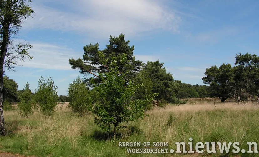 jkr 896 kalmthoutseheide 001b