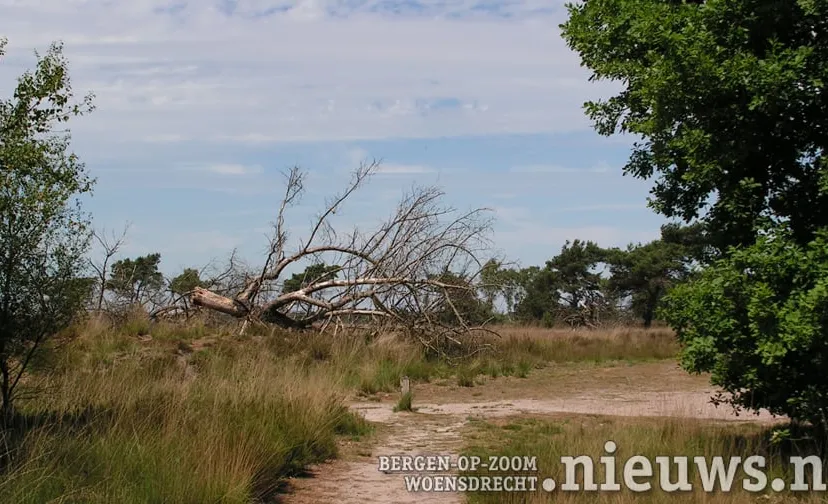 jkr 896 kalmthoutseheide 002b