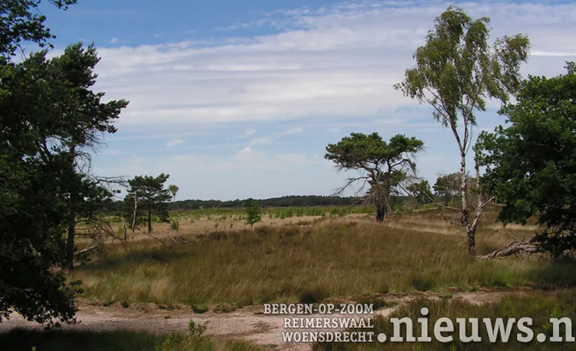 jkr 896 kalmthoutseheide