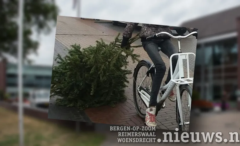 jkr hoo kerstbomeninzameling