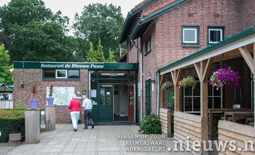 jkr oss blauwe pauw 001 896 504