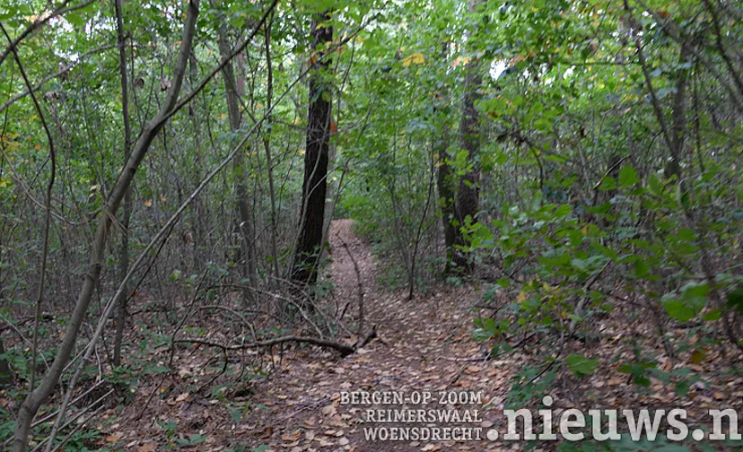 jkr oss bos volksabdij 001