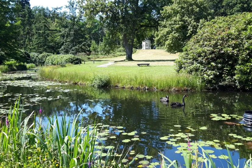 mattemburgh advanloenhout