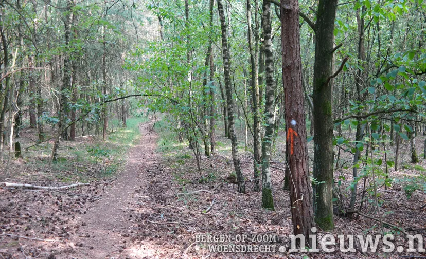 pad origineel met markering