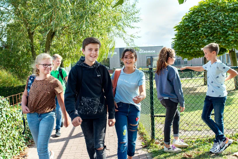 sanne bas tigges curio 30 bewerkt