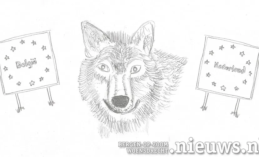 wolf nl be