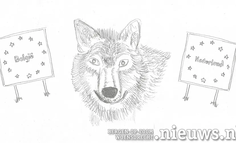 wolf nl be