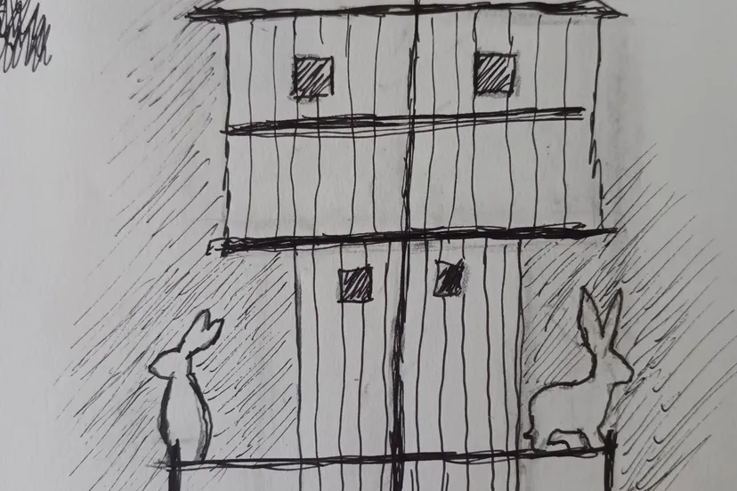 heerlijkekunst20240711 154137